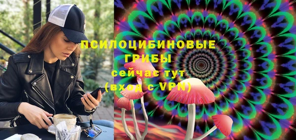 амф Абинск