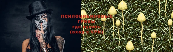бошки Алзамай