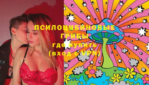 хмурый Алексеевка