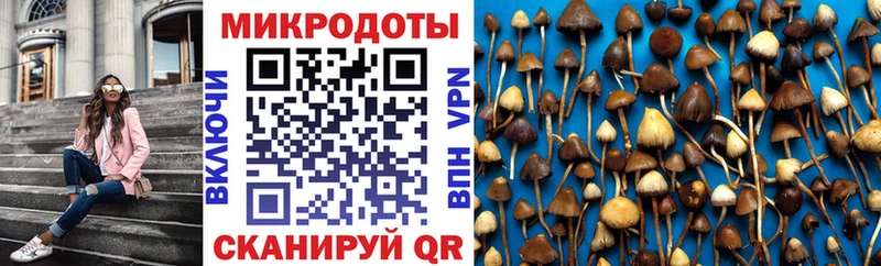 сколько стоит Юхнов Галлюциногенные грибы Cubensis